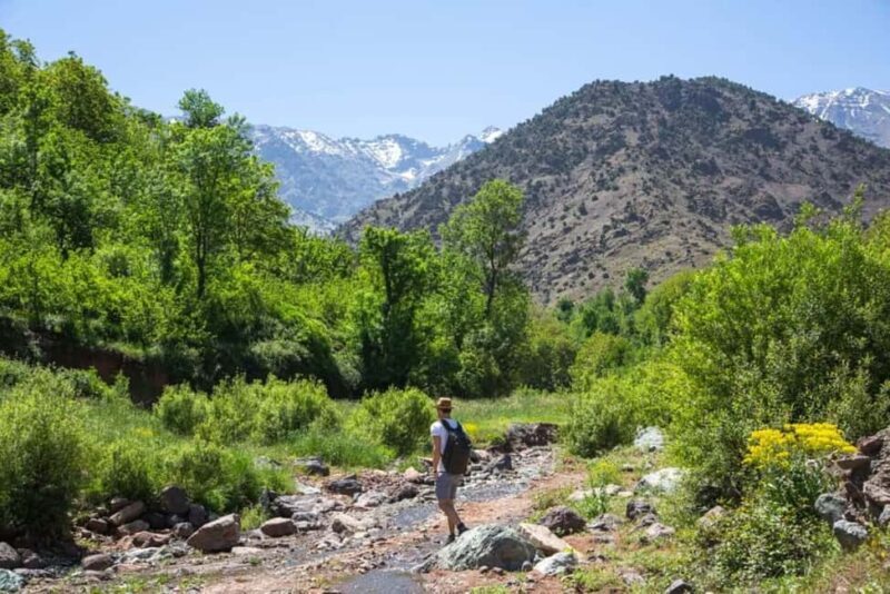 Atlas Mountains Day Trip & lunch in Local Family house - Exploring the Itinerary in Detail