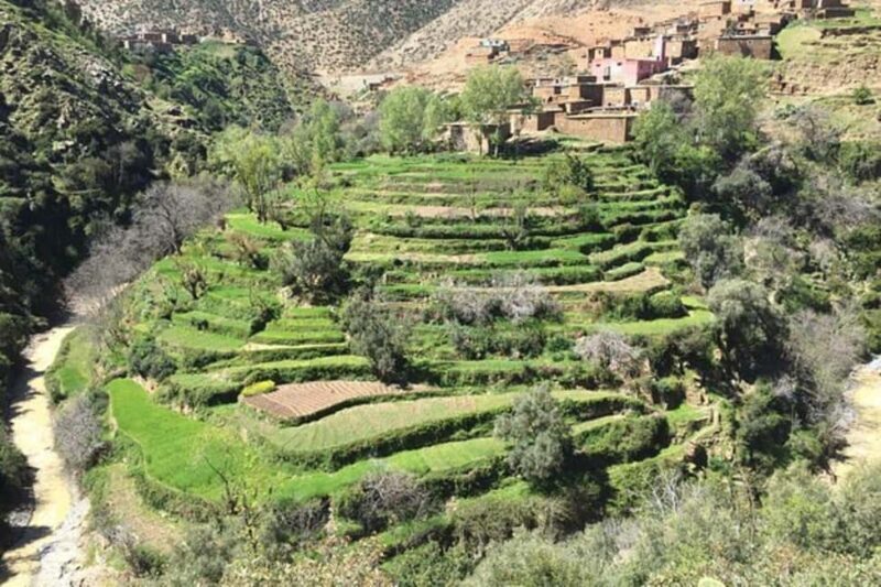 Atlas Mountains Day Trip & lunch in Local Family house - The Sum Up