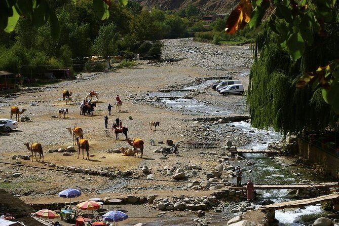 Atlas Mountains Day Trip with Camel Ride - Frequently Asked Questions