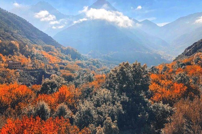 Atlas Mountains Day Trip with Camel Ride from Marrakech - Final Thoughts: Who Will Love This Tour?