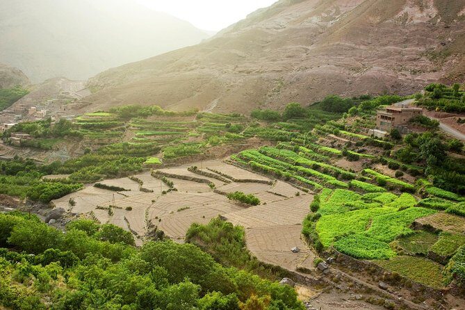 Atlas Mountains Day Trip with Camel Ride (Imlil) - FAQ