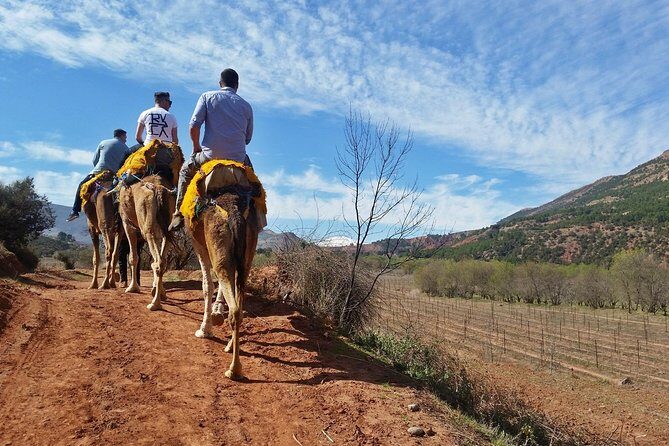 Atlas Mountains day Trips and berbers villages - Practical Details to Keep in Mind