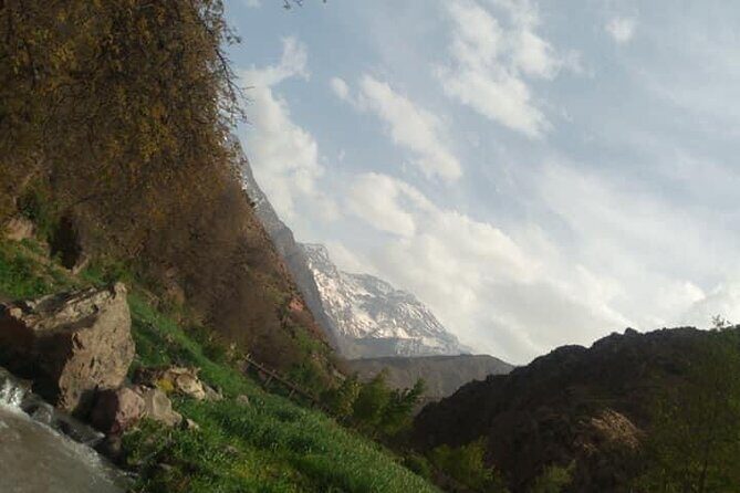 Atlas Mountains Day Trips - Authentic Experiences and the Value They Offer