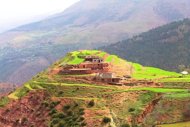Atlas Mountains full-Day Trip from Marrakech & Camel Ride and Lunch with locals - What the Reviews Say
