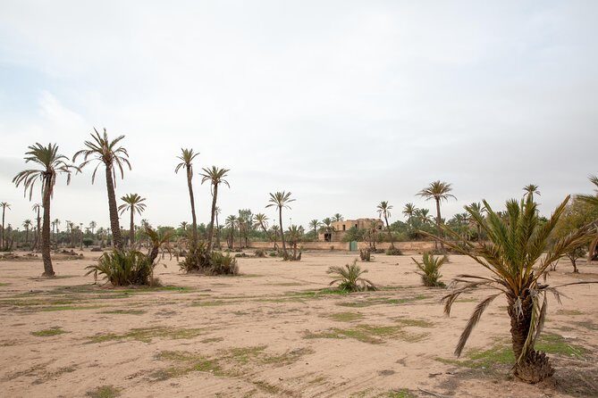 Atlas Mountains Hot Air Balloon Ride from Marrakech with Berber Breakfast and Desert Camel Experience - FAQ
