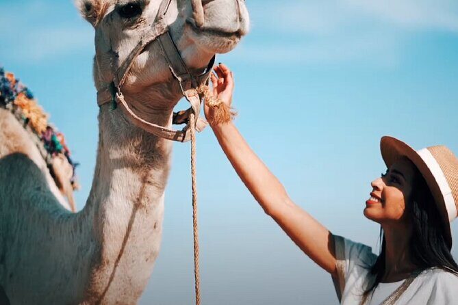 Atlas Mountains, Imlil valley, waterfalls, & Camel ride Day trip from Marrakech - An Intro to the Day Trip Experience