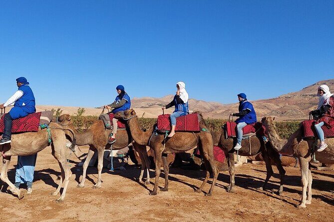 Atlas Mountains, Imlil valley, waterfalls, & Camel ride Day trip from Marrakech - A Step-by-Step Breakdown of the Itinerary