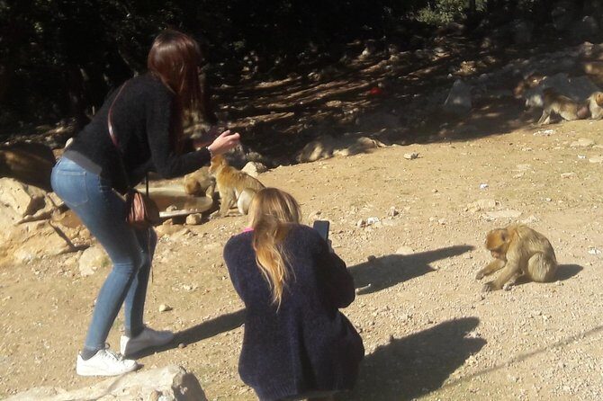 Atlas Mountains, Morocco: Ifrane, Azrou, Monkey Forest, Full Day Tour from Fez - FAQ