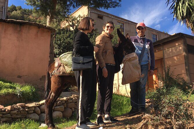 Atlas Mountains Ourika valley Day Tour from Marrakech - What to Bring and Wear