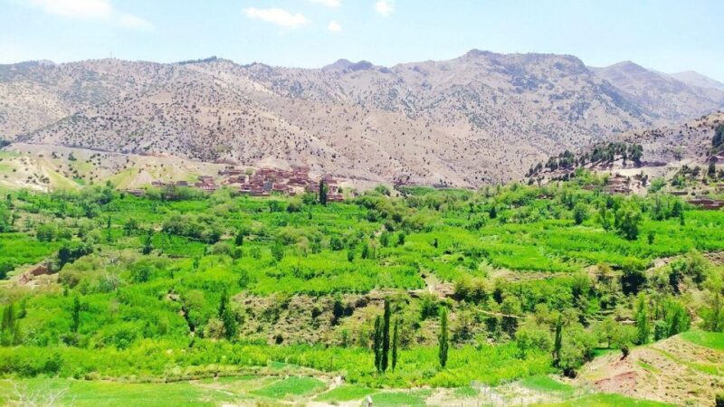 Atlas Mountains & Ourika valley day trip from Marrakech - FAQ