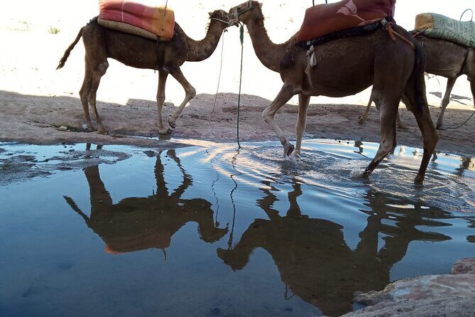 Atlas Mountains ourika valley Guided Tour - Key Points
