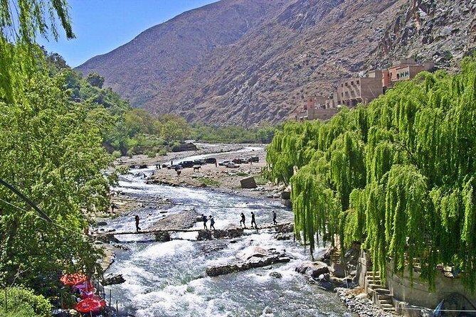 Atlas Mountains Ourika Valley Private day trip from Marrakesh - Valuing the Experience