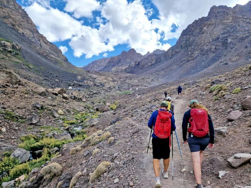 Atlas Mountains: Tedli Summit Day Hike from Marrakech - Key Points