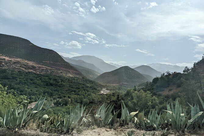 Atlas Mountains Three Valley and Berber Villages & Watterffalls Day Tour - The Sum Up
