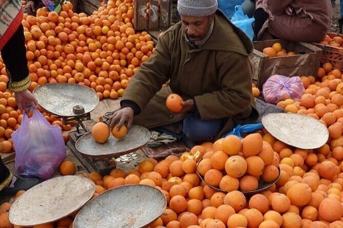 Atlas Mountains Tour from Marrakesh - Key Points