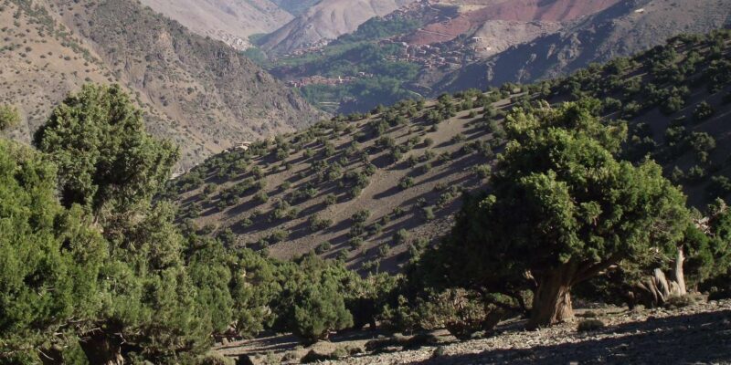 Atlas Mountains Trek 4 days - Practical Tips for the Trek