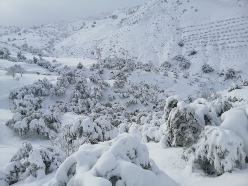 Atlas Mountains Trek Azzaden Valley And Imlil 2 Days - Key Points