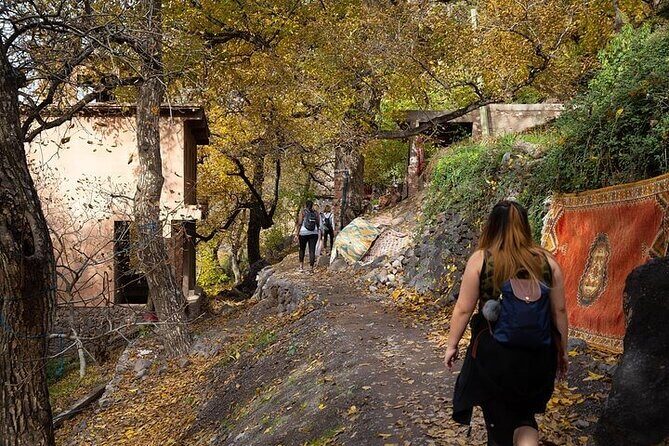 Atlas Mountains, Valley, Waterfalls and Lunch included - Exploring the Atlas Mountains: A Practical Guide to This Popular Day Trip