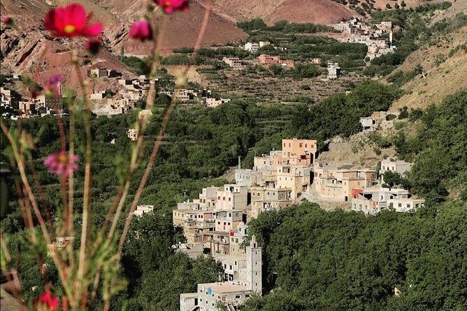 Atlas Mountains, Waterfalls Day Hike & Trek From Marrakech - Return and Reflection