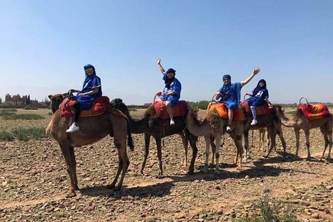 Atlas Mountains, Waterfalls Day Trip From Marrakech & Camel Ride - Key Points