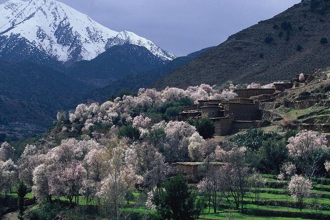 Atlas Mts. & Berber Village Day Trip from Marrakech (Min 2 p) - An In-Depth Look at the Atlas Mountains & Berber Village Tour