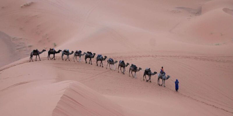 Atlas to Merzouga: 6-Day Desert & Toubkal Summit - The Sum Up