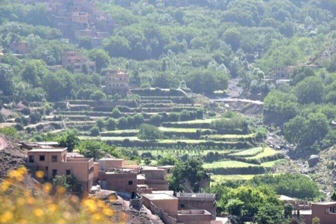 Atlas Tour: Imlil-Meals-Chameau Waterfall from Marrakech - Key Points