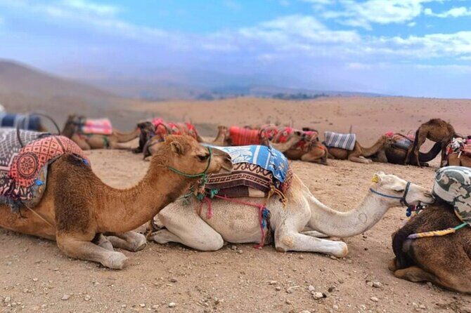 Atlas Tour: Imlil-Meals-Chameau Waterfall from Marrakech - A Closer Look at the Itinerary