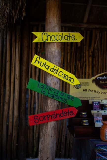 ATV 4×4+Snorkeling+Beach Club+ Lunch+Sabores de Cozumel - Key Points