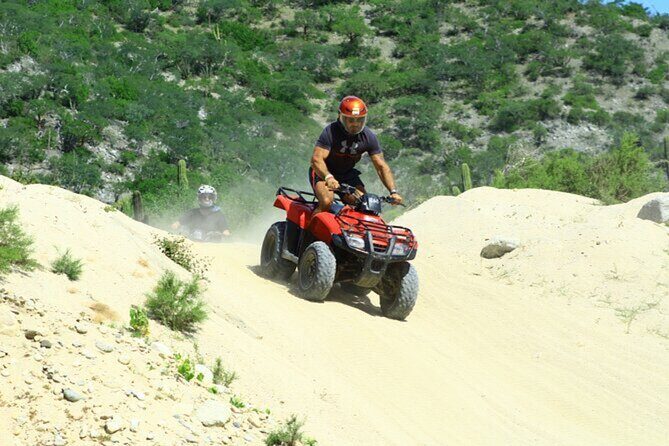ATV Adventure and Tacos at Migriño Beach - Authentic Feedback and Tips