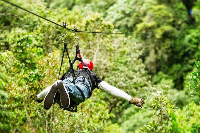 Atv Adventure - Authentic Experiences and Traveler Feedback