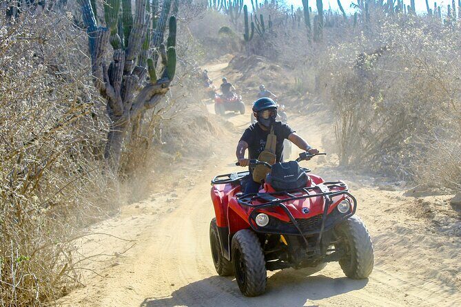 ATV and Camel Experience Los Cabos - Key Points