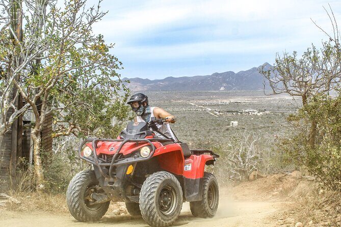 ATV and Camel Experience Los Cabos - Reviews and Real Traveler Insights