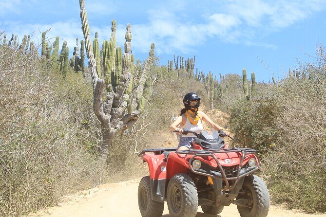 ATV and Camel Experience Los Cabos - The Sum Up