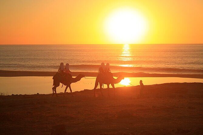 ATV and Camel Ride Combo Adventure in Los Cabos - An Honest Look at the ATV and Camel Ride Combo in Los Cabos
