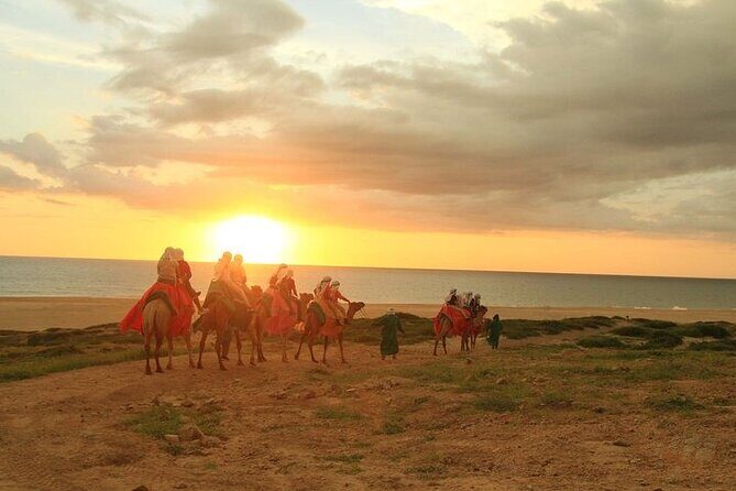 ATV and Camel Ride Combo Adventure in Los Cabos - Who Will Love This Tour?