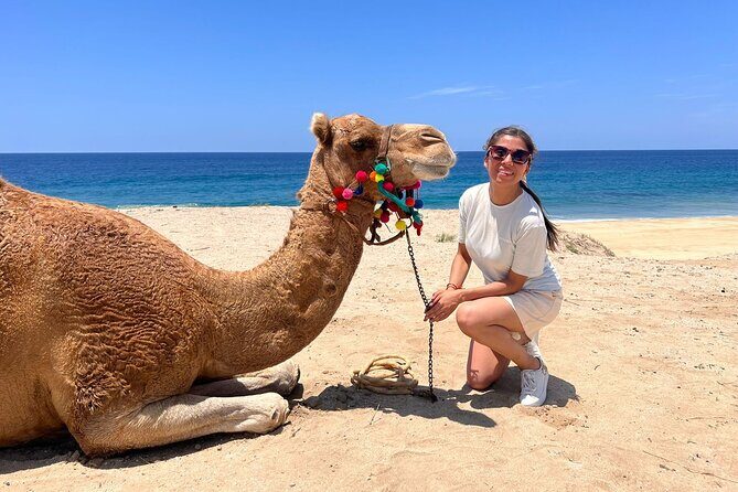 ATV and Camel Ride Combo Tour in Los Cabos - What You Can Expect from the Tour