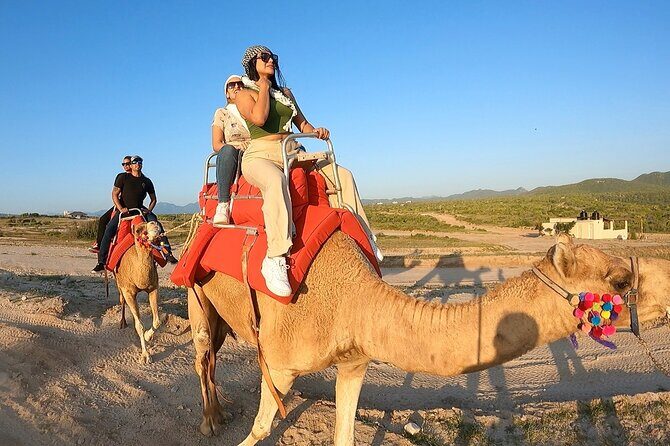 ATV and Camel Ride Combo Tour in Los Cabos - Authentic Experiences and Real Traveler Insights