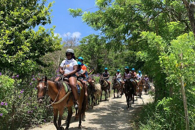 ATV and Horse Riding in Puerto Plata / Shore Excursion & Hotel - Key Points