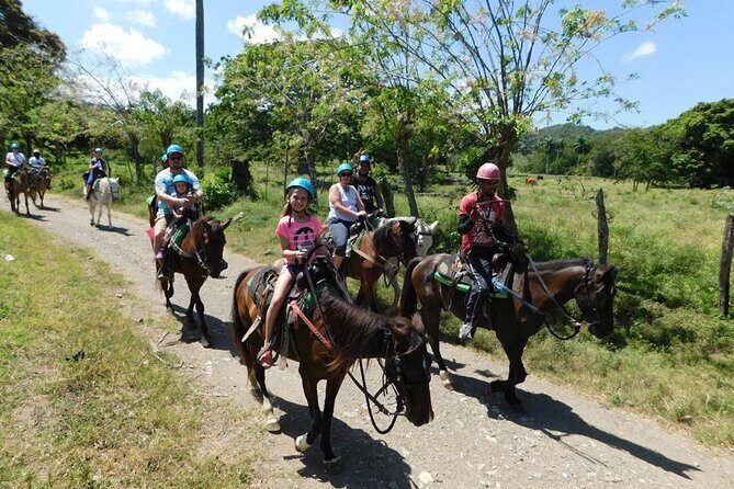 ATV and Horse Riding in Puerto Plata / Shore Excursion & Hotel - The Included Dominican Meal: A Flavorful Touch