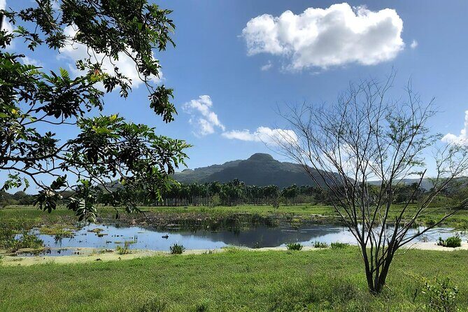 ATV and Horse Riding in Puerto Plata / Shore Excursion & Hotel - Who Will Love This Tour?