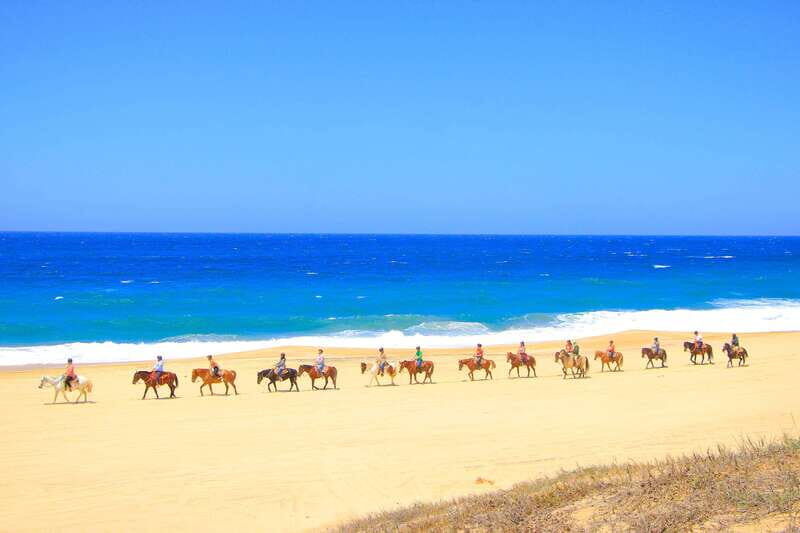 ATV Automatic 4X4 & Horseback riding in Cabo by Cactus Tours - Key Points