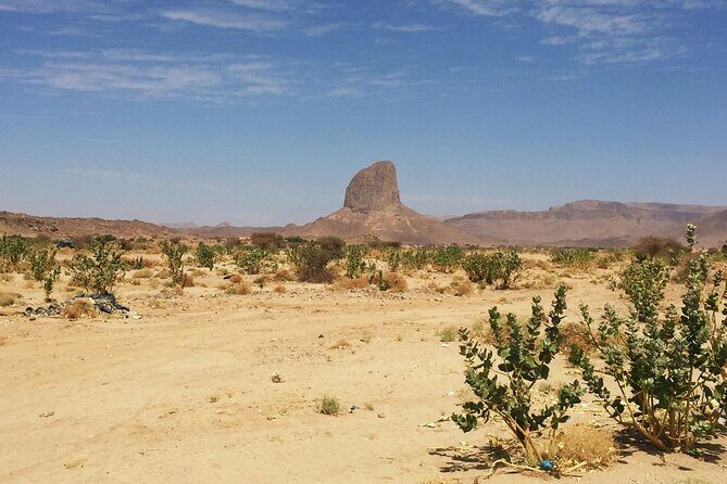 ATV Desert Adventure in Baja California Sur with Tequila Tasting - Final Thoughts: Who Will Love This Tour?