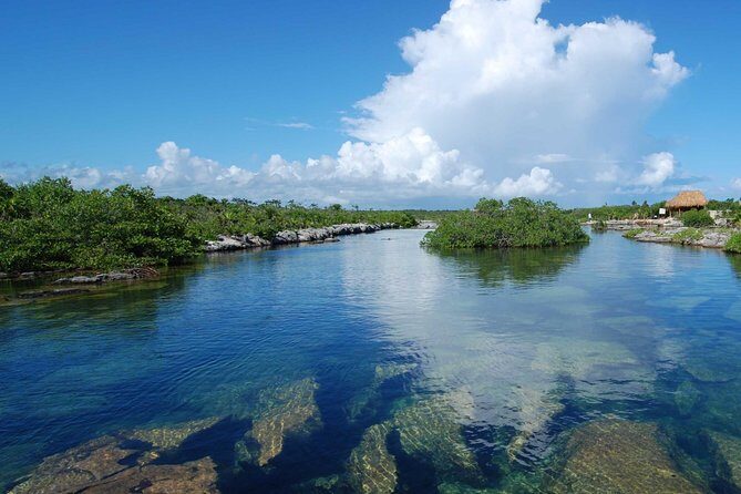 ATV Extreme and Snorkel Adventure from the Riviera Maya - Key Points