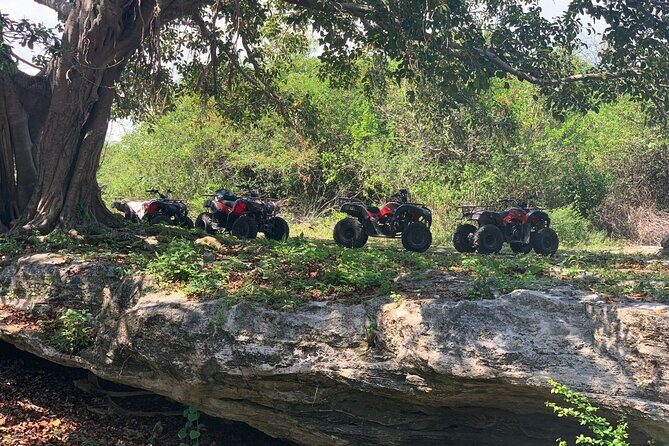 ATV Jungle Adventure to Hidden Mayan Ruins and Caves - A Detailed Look at What This Tour Offers