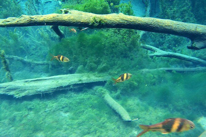 ATV & Kayaking in Hidden Freshwater Lagoon, Unseen Krabi Half Day Trip - Final Departure