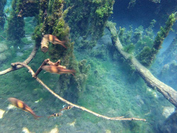 ATV & Kayaking in Hidden Freshwater Lagoon, Unseen Krabi Half Day Trip - The Real-World Insights from Travelers