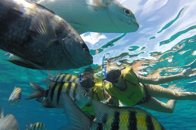 ATV Mud Kicking and Snorkeling by Boat in Cozumel - Beach Club and Relaxation