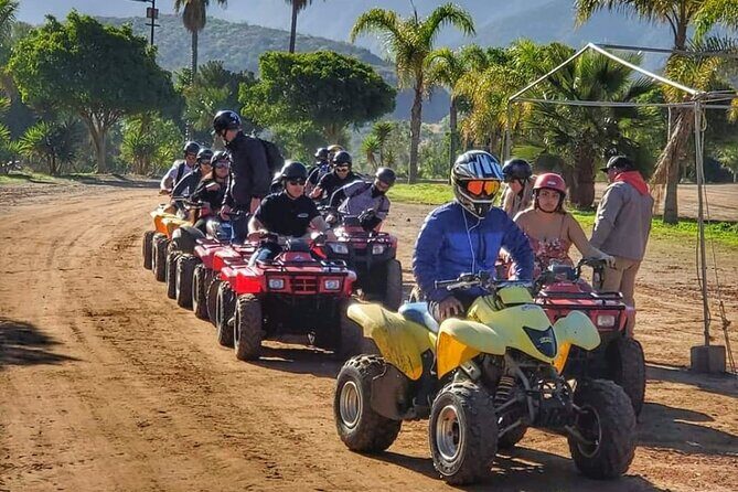 ATV Off Road Adventure Shore Excursion Optional Taco Stop - Key Points