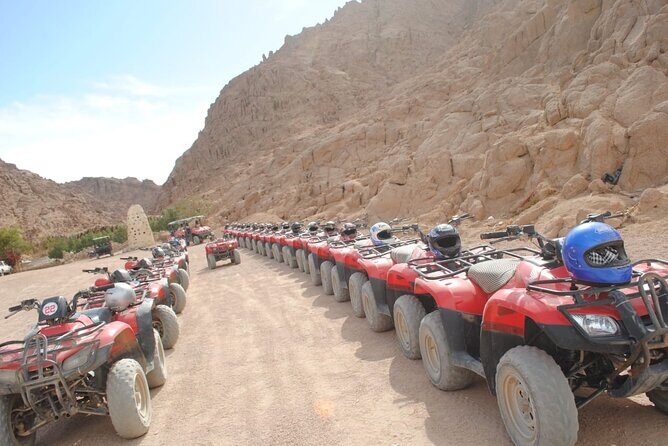 ATV Quad, Bedouin Tent with Tea Sharm El Sheikh - Authentic Experiences and Honest Feedback